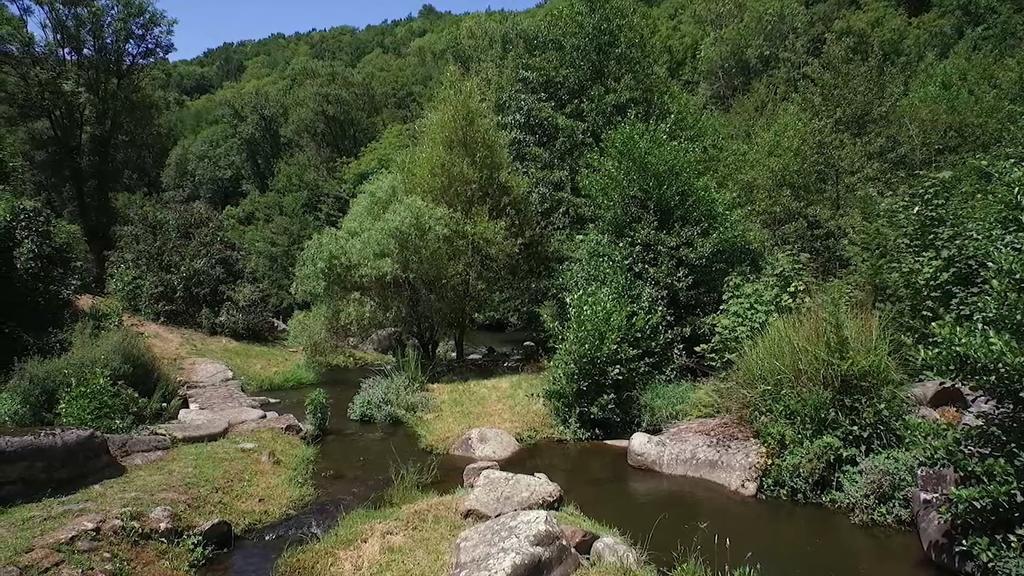 فيلا Moulin De Record Ferrieres  المظهر الخارجي الصورة