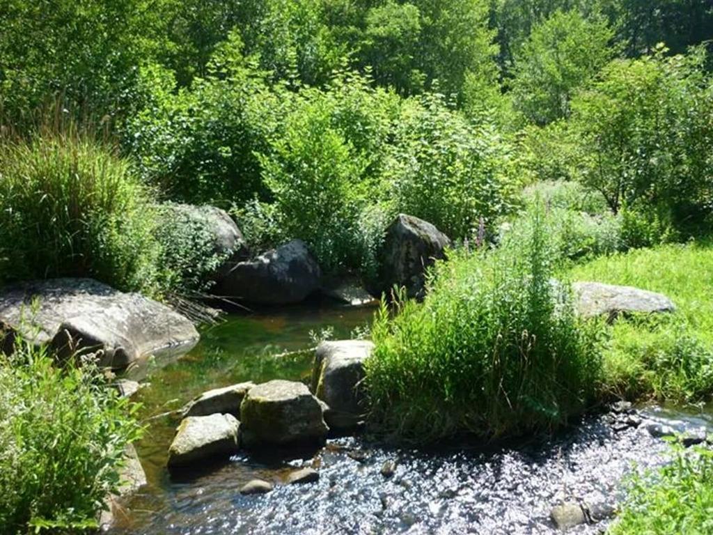 فيلا Moulin De Record Ferrieres  المظهر الخارجي الصورة